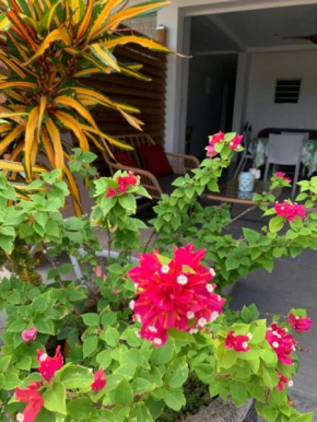 Le Tropical appartement 1 ou 2 chambres
